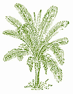 2007 Photos - Part 2