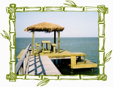 2007 Photos - Part 1